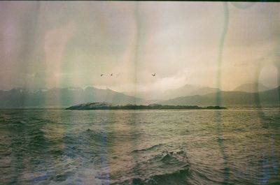 Birds flying over sea against sky