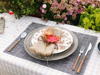 High angle view of flowering plant on table