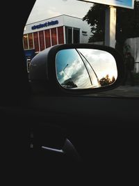 Reflection of trees in side-view mirror