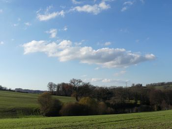 Scenic view of field against sky