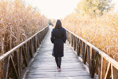 Rear view of man walking on boardwalk