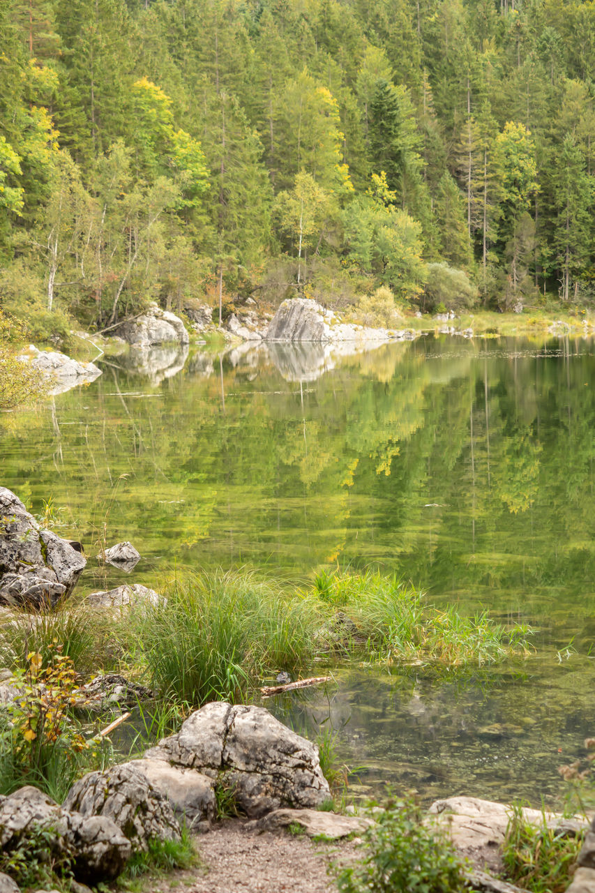 VIEW OF A LAKE