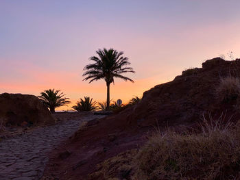 Silhouette palm trees on landscape against sky during sunset