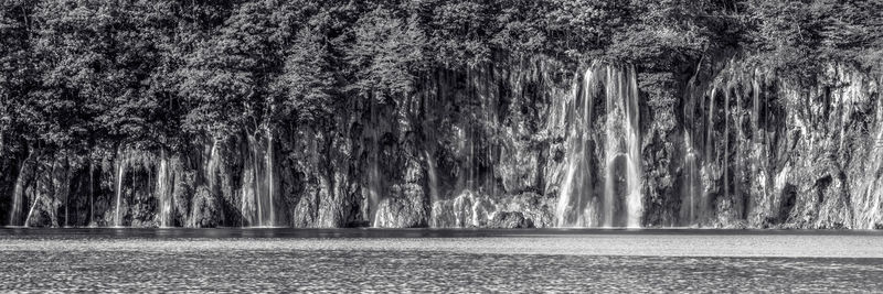 Panoramic view of trees in water