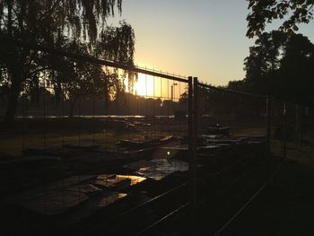 Sun shining through trees