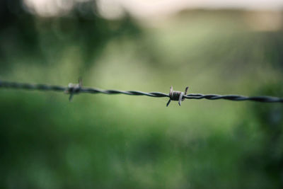 Close-up of barbed wire fence