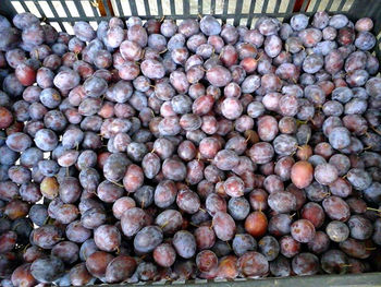 Full frame shot of blueberries in market