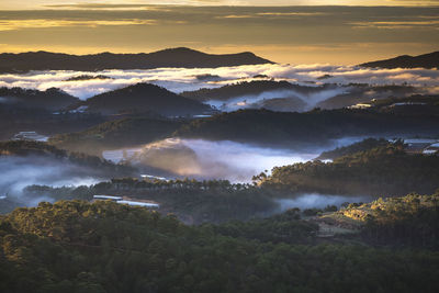 Scenic view of forest against sky during sunset