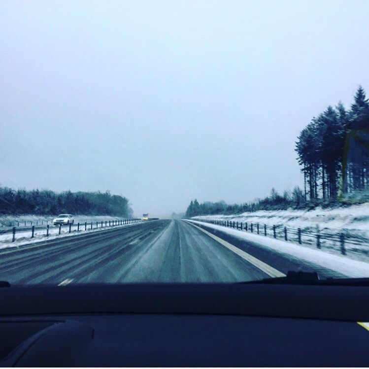 tree, road, the way forward, cold temperature, transportation, winter, car, snow, clear sky, windshield, no people, nature, land vehicle, day, scenics, outdoors, sky