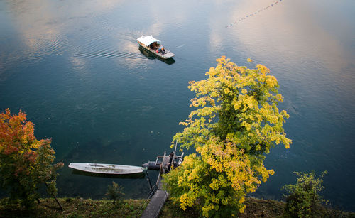 High angle view of birds on lake by trees