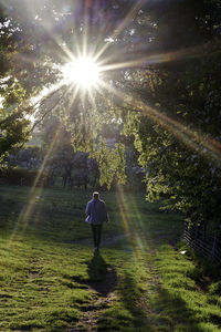 Rear view of woman walking on street during sunny day