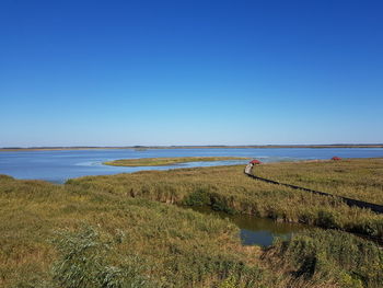 Scenic view of sea against clear blue sky