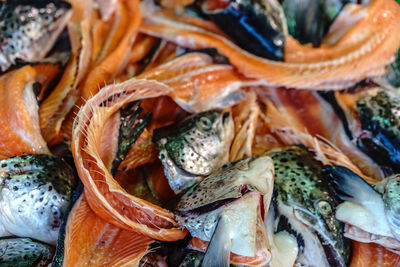 Full frame shot of dead fishes for sale at market