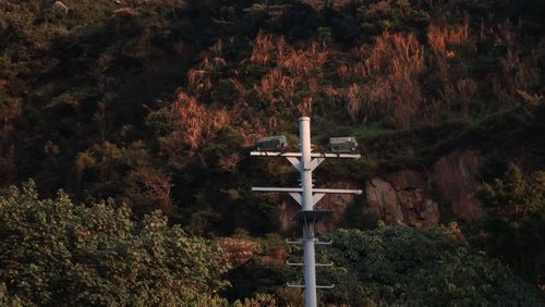 Cross in cemetery against trees