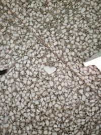 Full frame shot of stones on beach