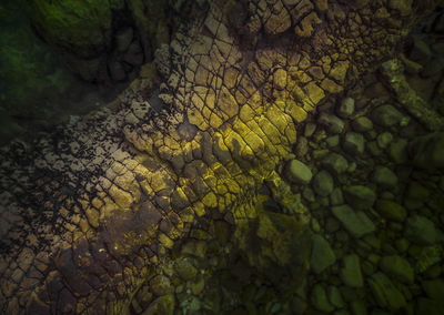 Full frame shot of yellow leaf