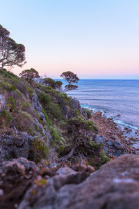 Scenic view of sea against clear sky