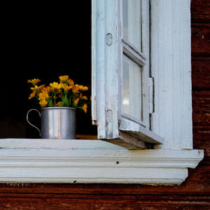 Close-up of potted plant on window of house