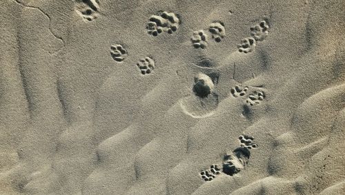 High angle view of footprints on sand at beach