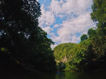 Scenic view of river amidst trees in forest against sky