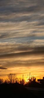 Silhouette trees on field against orange sky