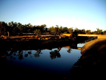 Reflection of trees in water against clear sky
