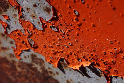 Full frame shot of rusty metal