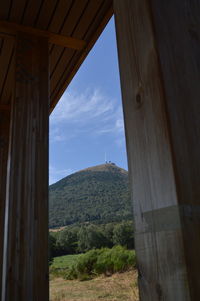 House with trees in background