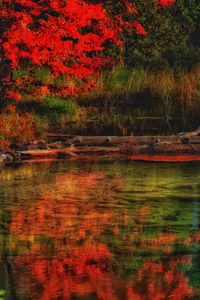 Full frame shot of red abstract background