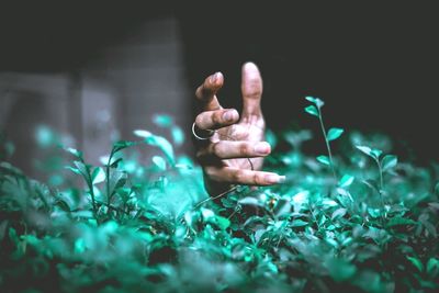 Close-up of woman hand amidst plants