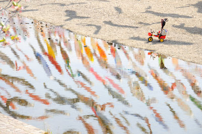 High angle view of people riding on beach