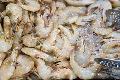 Full frame shot of fish for sale in market