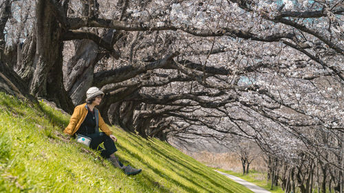 Rear view of man standing on tree
