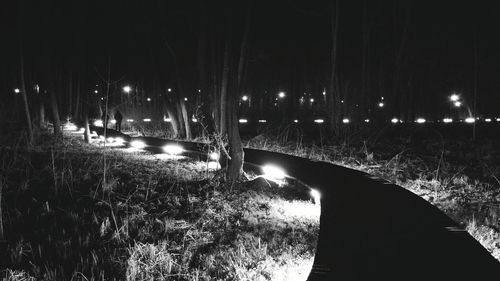 View of illuminated trees at night