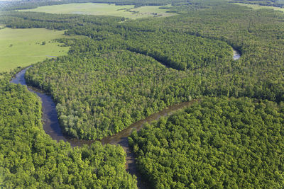 Aerial view of the floodplain on the odra river with the forest and pastures, croatia