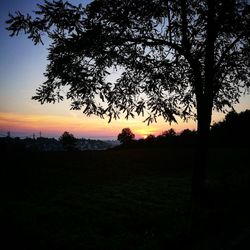 Silhouette tree on field against sky at sunset