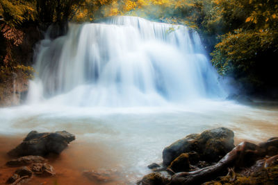 Scenic view of waterfall in forest