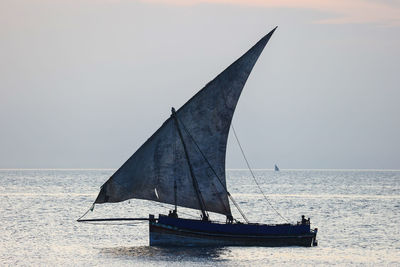 Sailboat sailing on sea against sky