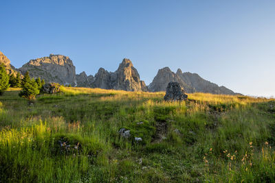 Scenic view of landscape against clear sky