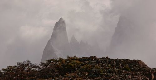 Low angle view of trees and mt fitzroy in foggy weather