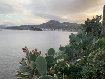 Scenic view of sea against cloudy sky