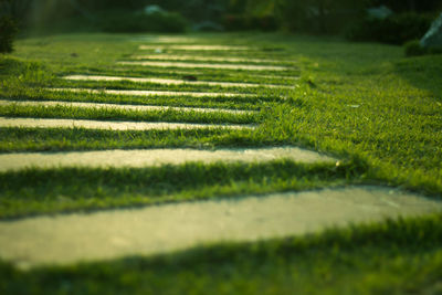 Full frame shot of grassy field in park