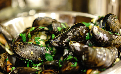 Close-up of mussels served in bowl