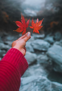 Cropped image of hand holding red maple leaf during autumn