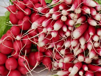 Full frame shot of red berries