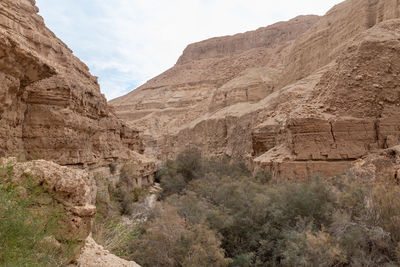 wadi
