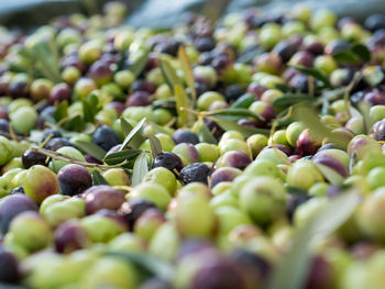 Full frame shot of berries