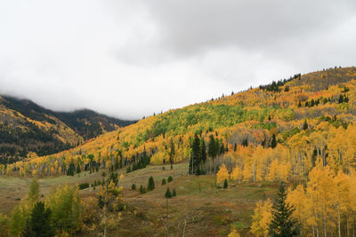 Scenic view of landscape against sky during autumn