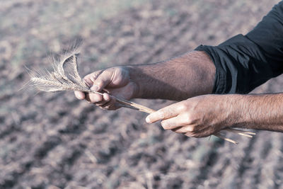 Close-up of man holding hand on field