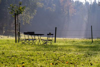 Empty chairs on field against trees